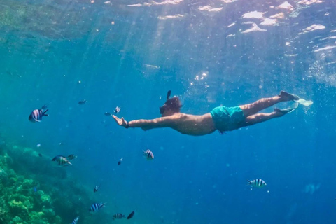 Exklusive Gili Nanggu, Sudak und Kedis Tour mit GoProPrivate Kleingruppen