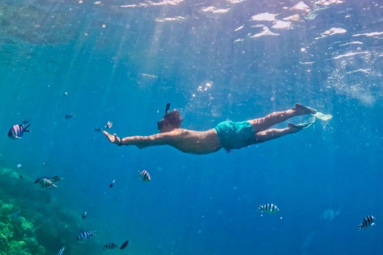 Exklusive Gili Nanggu, Sudak und Kedis Tour mit GoProPrivate Kleingruppen