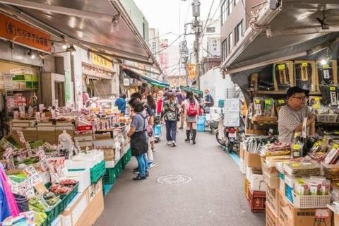 Jednodniowa prywatna wycieczka do Tokio z angielskim przewodnikiem