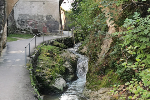 Bucharest: Dracula's Castle, Brasov & Peles Castle Day Trip