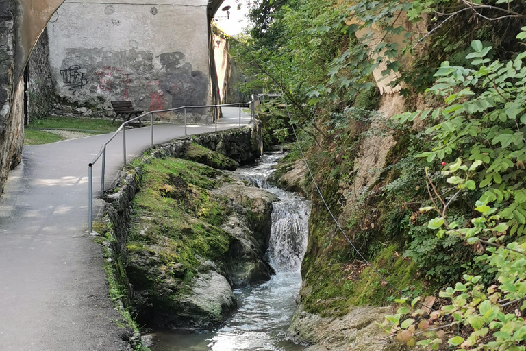 Bucharest: Dracula's Castle, Brasov & Peles Castle Day Trip
