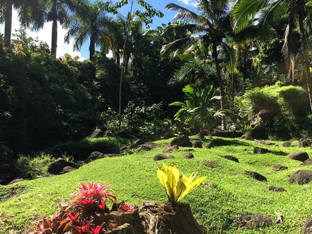 Princeville: Guided Botanical Gardens and Chocolate Tour
