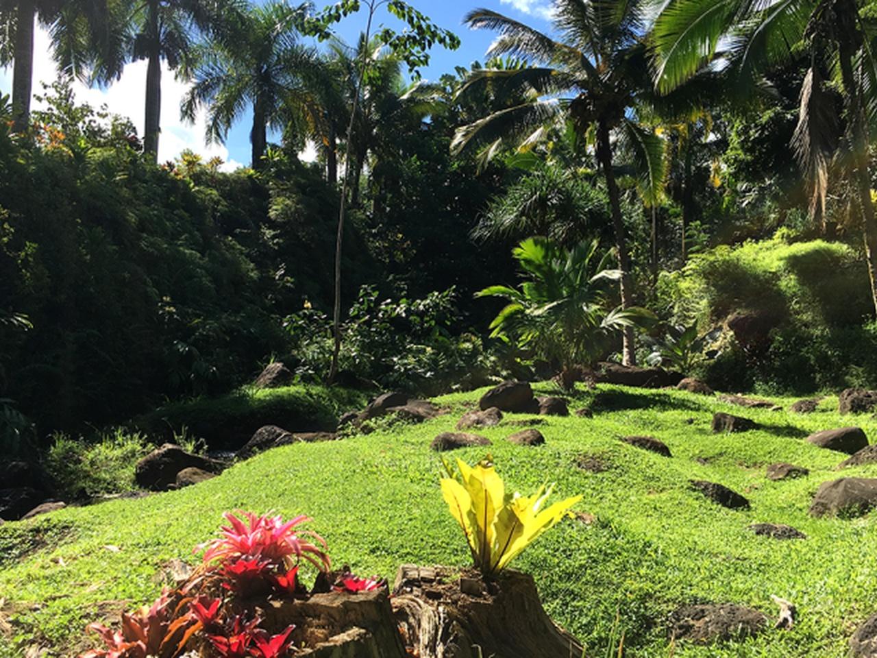 Princeville: Geführte Tour durch den Botanischen Garten und Schokoladentour