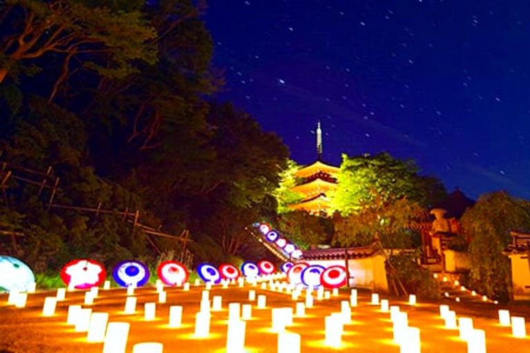 Osaka/Kyoto: Private Nara Day Trip with Guide and Luxury Van