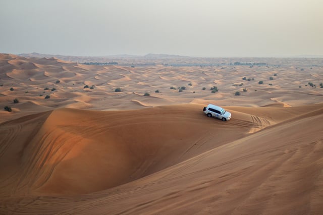 Dubai: Morning Desert Safari
