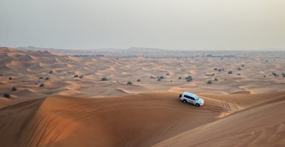 Dubai: Morning Desert Safari