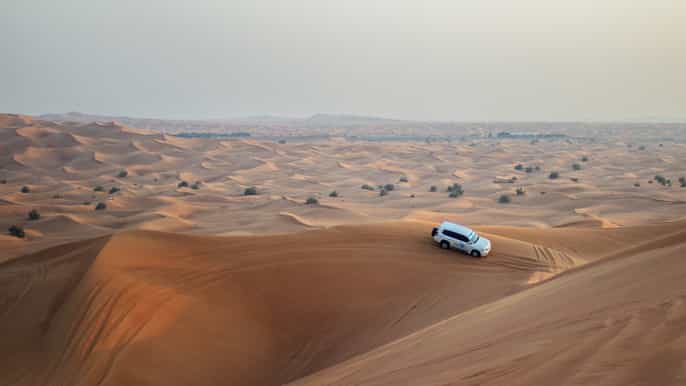 dubai morning desert safari