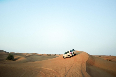 Dubai: woestijnsafari in de ochtendWoestijnsafari in de ochtend in Dubai