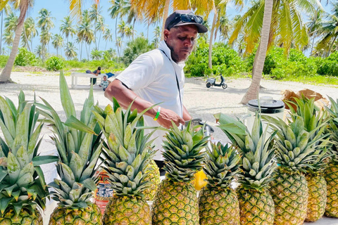 Tour de día completo a la Isla Saona desde Punta Cana