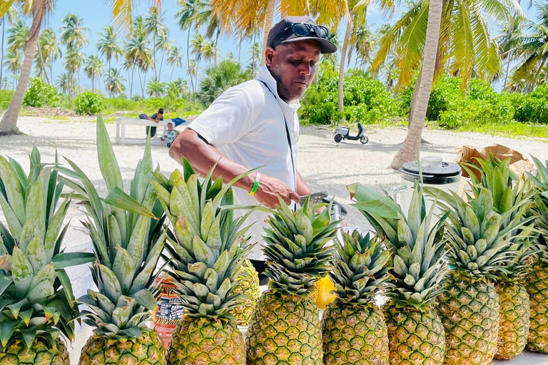 Saona Eiland Dagvullende Tour vanuit Punta Cana