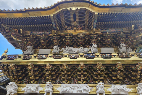 Tokyo: Nikko Private Day Trip with English Speaking Guide Tokyo or Nagoya: Nikko Private Day Trip with Guide