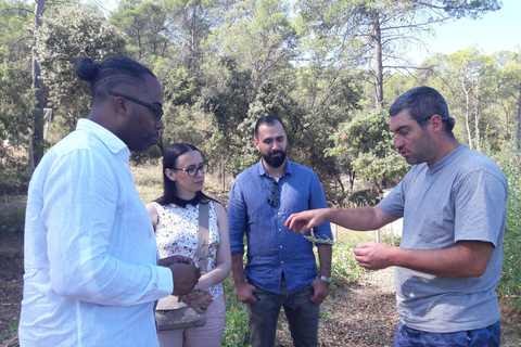 Excursion d&#039;une journée depuis Nîmes vers les Cévennes, montagnes classées au patrimoine mondial de l&#039;UNESCOExcursion d&#039;une journée dans les terres préservées des Cévennes