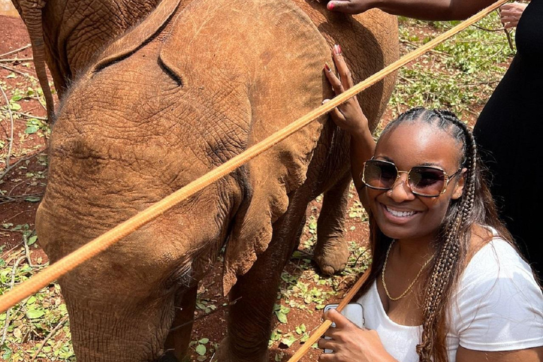 Excursão de um dia ao Parque Nacional, Bebê Elefante e Centro de Girafas