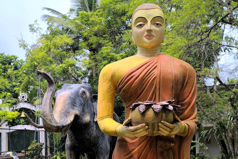 Galle och Bentota Dagsutflykt från Colombo