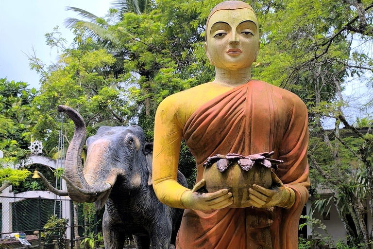 De Galle/Colombo : safari sur la rivière Madu et visite de l&#039;écloserie de tortues