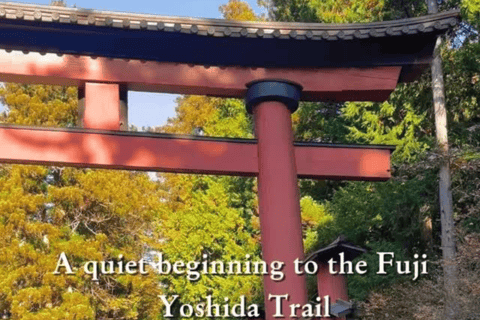 From Tokyo: Mount Fuji Full Day Customizable Private Tour