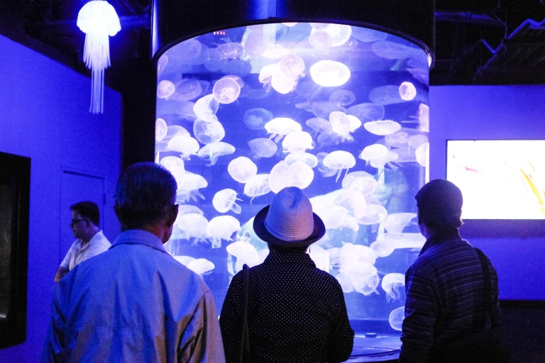 Aquarium of the Bay : billet d'entrée général