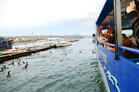 San Diego: SEAL City Tour by Amphibious Bus SEAL City Tour by Amphibious Bus - from Embarcadero