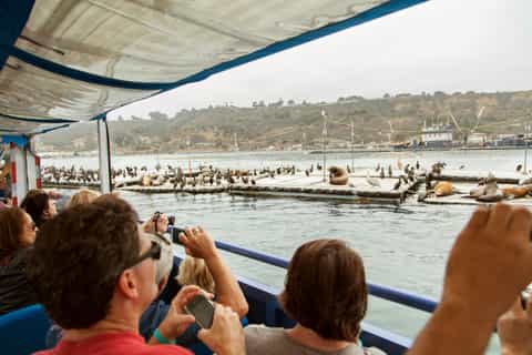 90-Minute San Diego SEAL Tour