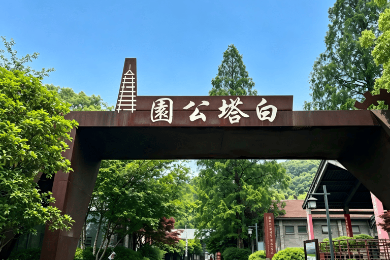 Hangzhou Zen and Pagoda Shadows One-Day Tour