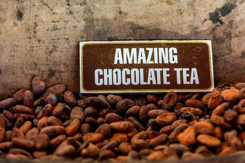 Punta Cana: ATV or Buggy Tour with Cenote and Beach Punta Cana: ATV or Buggy Tour with Cenote and Beach