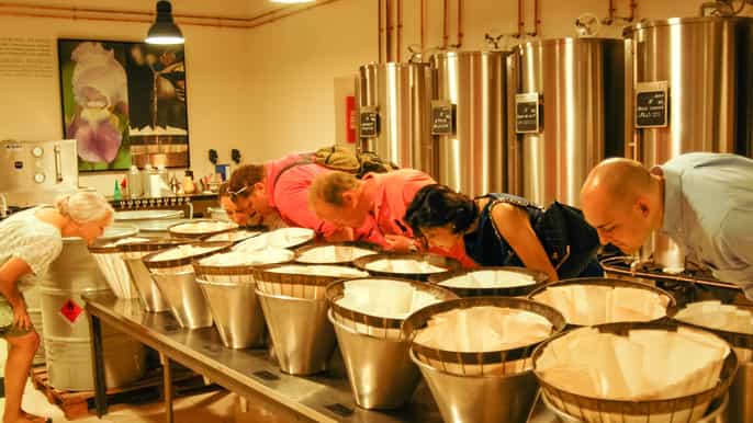 grasse valbonne gourdon tour di 1 giorno con degustazione