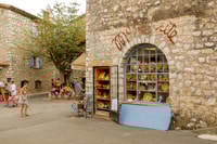 Grasse, Valbonne & Gourdon, Day Tour with Wine Tasting - Housity