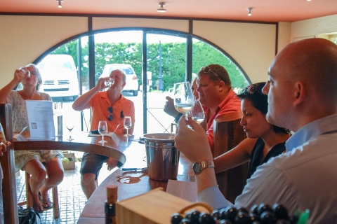 Grasse, Valbonne & Gourdon: Day Tour with Wine Tasting Grasse, Valbonne and Gourdon: From Monaco