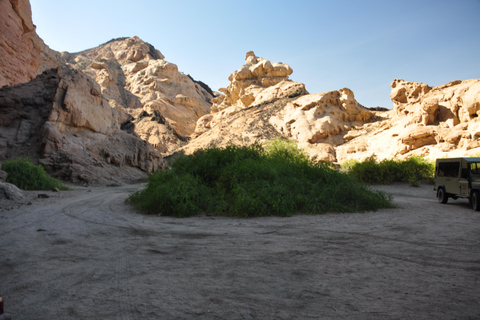 نهر سواكوبموند/وادي القمر/مناظر القمر/جولة بيئية