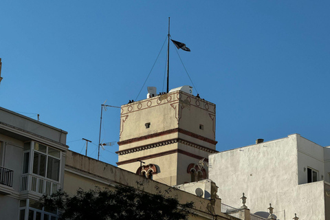 Cádiz do ponto de vista de uma gaivota: um passeio entre telhados e torres