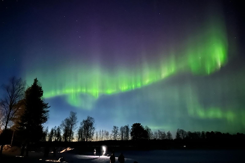 Rovaniemi: uma viagem noturna em busca da aurora boreal