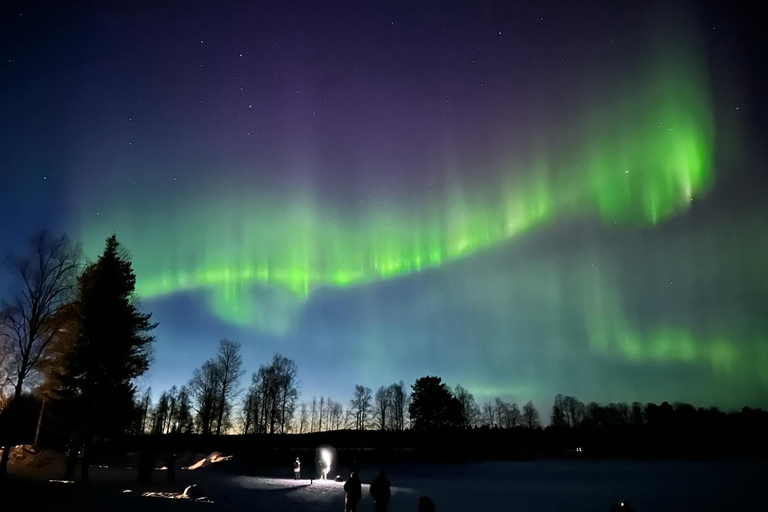 Rovaniemi: nocna wycieczka w poszukiwaniu zorzy polarnej