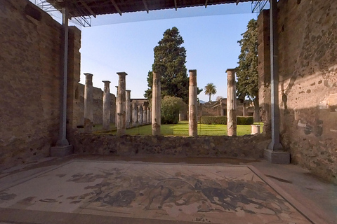 Pompeii: 2 uur voorrangstoegang met een gediplomeerde gidsPompeii: 2 uur bezoek met een gediplomeerde gids