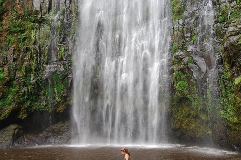 Mosh : Excursion de 2 jours à Materuni, visite du café et de la source thermale de Chemka