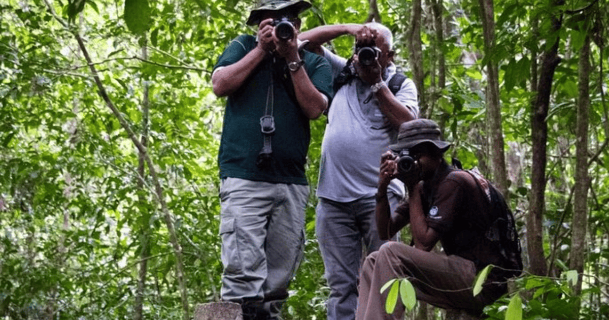 "Kanneliya Forest Discovery Guided Nature Expedition" GetYourGuide