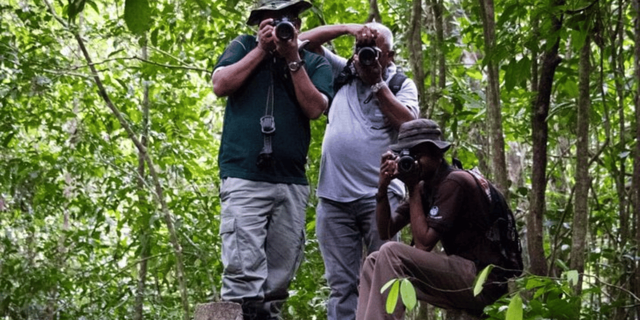 Ab Galle: Geführte Natur-Expedition im Kanneliya-Wald