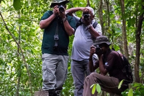 "Kanneliya Forest Discovery: Guided Nature Expedition"