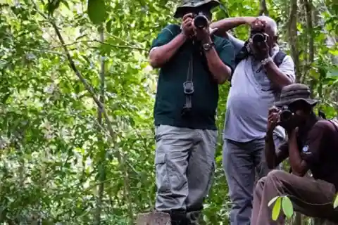 "Kanneliya Forest Discovery: Guided Nature Expedition"