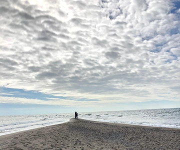 Leamington: Point Pelee National Park Tour mit Tesla