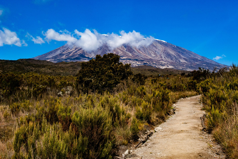 Beste 6 Tage Kilimanjaro Besteigung Machame Route