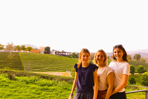 Chiang Mai: Pro Private Driver Service with Custom Itinerary