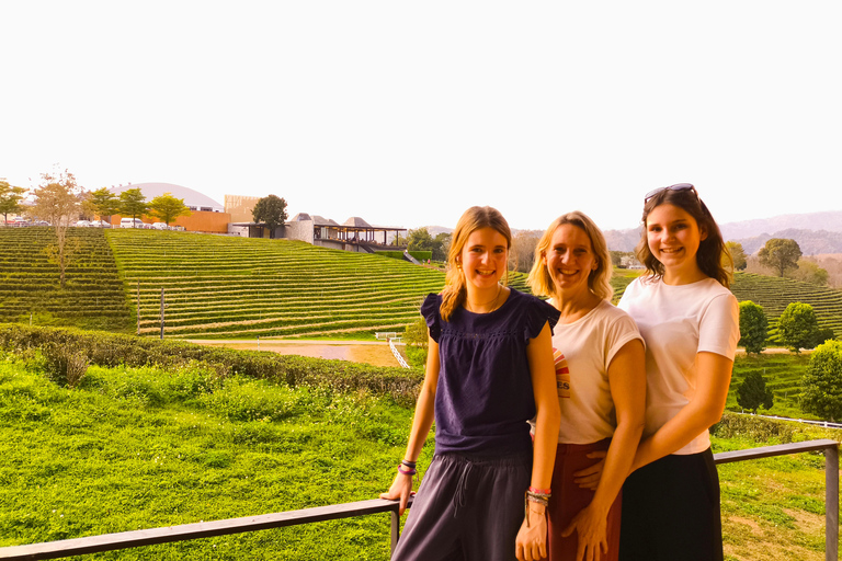 Chiang Mai: Pro Private Driver Service with Custom Itinerary