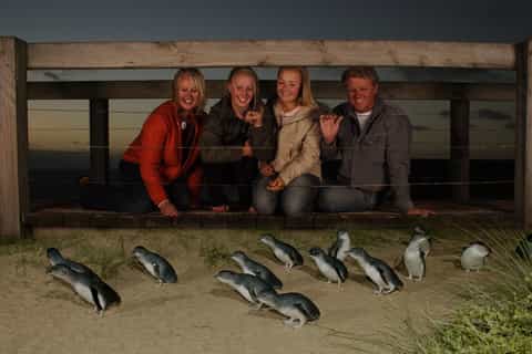 Phillip Island Nature Park Full-Day Tour from Melbourne