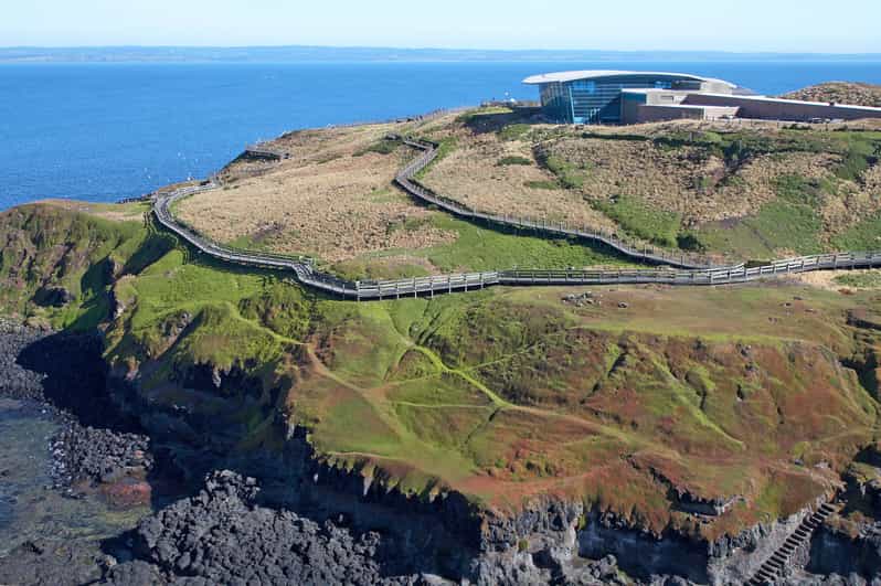 Phillip Island Nature Park FullDay Tour from Melbourne GetYourGuide