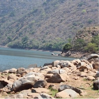 Mbombela, Blyde River Canyon & Moholoholo Wildlife Centre - Hizvo