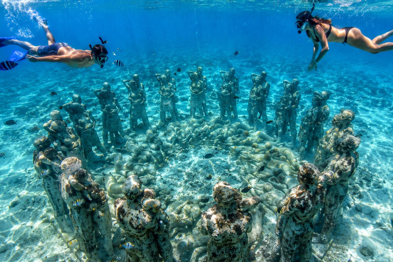 Labuan Bajo: 5-Day Komodo to Gili Trawangan Whale Shark Tour Standart Boat | Sharing Deck | No WHALE SHARK