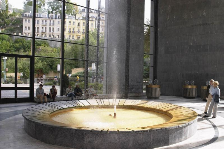 Prag: Karlovy Vary-tur med lunch och besök på Moser-museet