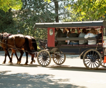 Von New York City aus: Philadelphia und Amish Country Tagestour