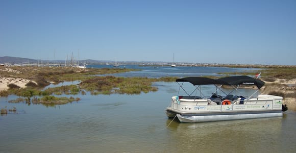 Olhão: Ria Formosa & Culatra Island Boat Trip (3.5 h)