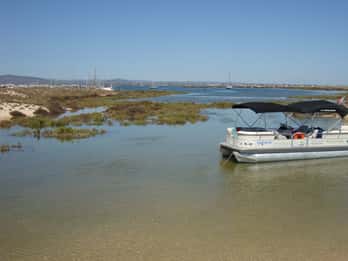 Z Olhão: Ria Formosa i wyspa Culatra – 3,5-godzinna wycieczka łodzią